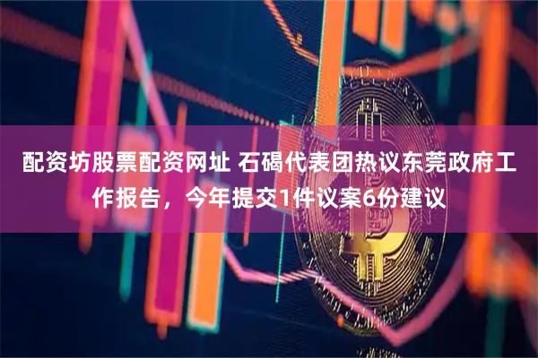 配资坊股票配资网址 石碣代表团热议东莞政府工作报告，今年提交1件议案6份建议
