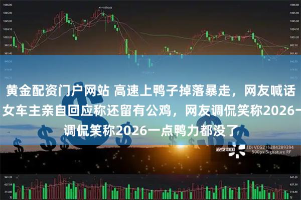 黄金配资门户网站 高速上鸭子掉落暴走，网友喊话粤C车主认领，女车主亲自回应称还留有公鸡，网友调侃笑称2026一点鸭力都没了