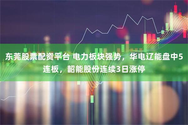东莞股票配资平台 电力板块强势，华电辽能盘中5连板，韶能股份连续3日涨停