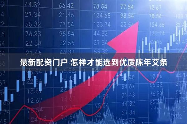 最新配资门户 怎样才能选到优质陈年艾条