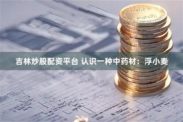吉林炒股配资平台 认识一种中药材：浮小麦